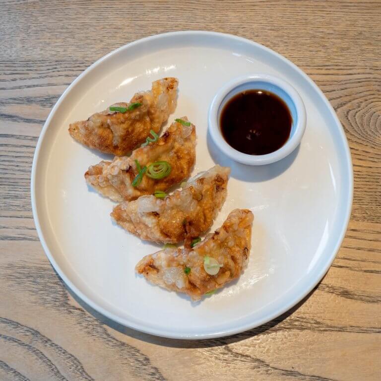 Fried Gyoza Fried Dumplings Gyoza Veg & Non Veg