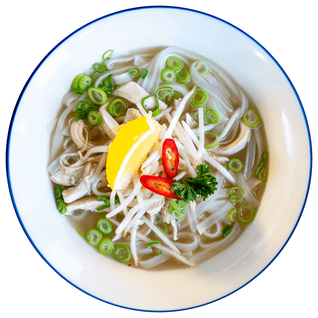 Pho Asian noodle soup